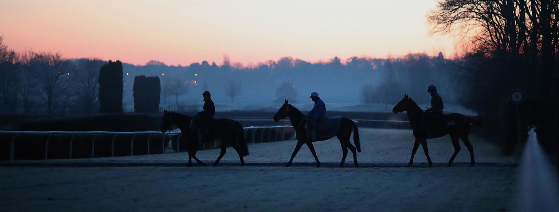 Morgentraining auf der Rennbahn im Nebel